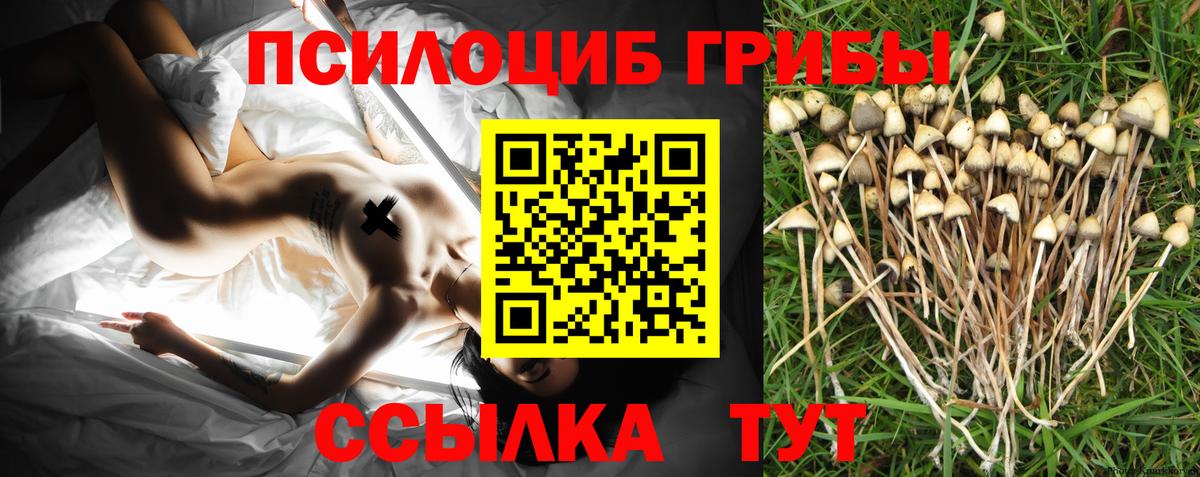 Москва  Псилоцибиновые грибы MAGIC MUSHROOMS  Вход с VPN 
